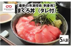 【刺身用】海鮮丼の具 マグロ 60g（タレ付）× 5人前 【最新の冷凍技術】[B-11020]