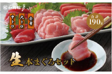  【月間300セット限定！鮮度抜群・採れたて直送！】【日付指定可】国産生本マグロ3種盛（大トロ　中トロ　赤身）合計約190g [A-11016] / 食べ比べ 直送 柵どり 福井県