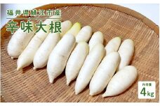 おろしそばに最適! 福井県産 辛味大根 4kg[B-10201] /おろしそば 辛味大根 美味しい野菜 薬味