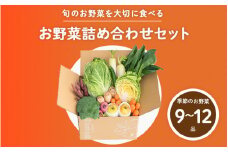 【2025年12月配送】多数のメディアで紹介されました！【訳あり】旬のもったいないお野菜詰め合わせセット[B-16401] /訳あり 訳アリ ロスヘル 野菜 規格外野菜 冬野菜 やさい サラダ フードロス 果物 くだもの フルーツ 福井県鯖江市