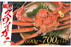 【選べる重さと配送月！】越前ズワイガニ 600g～700g×1杯 [F-10304a] / ズワイガニ ずわいがに 蟹 カニ かに 海鮮 越前ガニ 福井県鯖江市