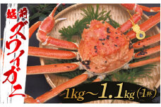 【選べる重さと配送月！】越前ズワイガニ 1kg～1.1kg×1杯[F-10304e] / ズワイガニ ずわいがに 蟹 カニ かに 海鮮 越前ガニ 福井県鯖江市