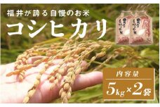 【チョイス限定！100袋限定販売！！】＜2025年11月以降 順次発送予定＞令和7年産　コシヒカリ　通常便（1回配送）計10kg（5kg×2袋）[C-10113] / お米 新米 精米 ご飯 こしひかり ごはん 米農家 農業男子 鮮度抜群 福井県鯖江市