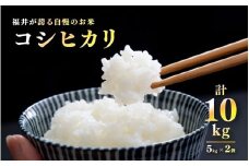 【数量限定！100袋限定販売！！】＜2025年11月以降 順次発送予定＞令和7年産　コシヒカリ　通常便（1回配送）計10kg（5kg×2袋）[C-10113] / お米 新米 精米 ご飯 こしひかり ごはん 米農家 農業男子 鮮度抜群 福井県鯖江市