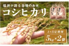 ＜2025年11月以降 順次発送予定＞令和7年産　コシヒカリ　定期便（3ヶ月連続お届け）計30kg（(5kg × 2袋) × 3回）[G-10107] / お米 新米 精米 ご飯 こしひかり ごはん 米農家 農業男子 鮮度抜群 福井県鯖江市