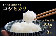 ＜2025年11月以降 順次発送予定＞令和7年産　コシヒカリ　定期便（3ヶ月連続お届け）計30kg（(5kg × 2袋) × 3回）[G-10107] / お米 新米 精米 ご飯 こしひかり ごはん 米農家 農業男子 鮮度抜群 福井県鯖江市