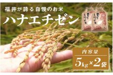 【チョイス限定！50袋限定販売！！】＜2025年10月以降 順次発送予定＞令和7年産  ハナエチゼン　通常便（1回配送）計10kg（5kg×2袋）[C-10105] / お米 新米 精米 ご飯 華越前 ごはん 米農家 農業男子 鮮度抜群 福井県鯖江市 先行予約