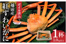 【先行予約！】【産地直送】越前産　紅ずわいがに1.0kg以上×1杯 [D-00904] / ズワイガニ ズワイ蟹 ずわい蟹 ずわい 剥き身 脚 爪 脚 かにしゃぶ カニ鍋 蟹 お歳暮 カニ かに ふるさと納税かに