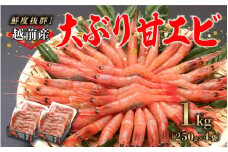 【選べる容量！】【小分け】越前産冷凍甘えび大サイズ 約250g × 4パック 合計約1.0kg [B-11029] /甘えび 甘エビ えび 大ぶり甘エビ 海老 海鮮 刺身 冷凍  福井県 鯖江市