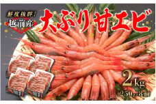 【選べる容量！】【小分け】越前産冷凍甘えび大サイズ 約250g × 8パック 合計約2.0kg  [C-11011] / 甘えび 甘エビ えび 大ぶり甘エビ 海老 海鮮 刺身 冷凍  福井県 鯖江市