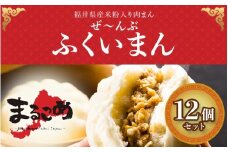 福井産食材で作った米粉入り肉まん「ぜんぶふくいまん」12個セット[B-13901] / 肉まん 塩こうじ こしあん にくまん ポーク 羽二重餅 米粉 福井県鯖江市
