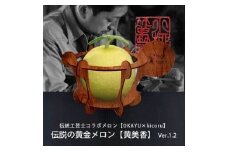 【伝統工芸士コラボ】OKAYUの伝説の黄金メロン【黄美香】