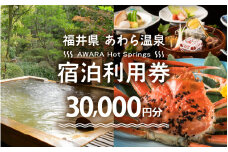 あわら温泉 宿泊利用券 30,000円分 ／ 宿泊券 旅館 チケット 観光 旅行 源泉 大浴場 露天風呂 福井県 あわら市 カニ 蟹 観光地 旅行券 国内旅行 旅行券 宿泊券 ゴルフ 国内 カニ 蟹 観光地 旅行券 国内旅行 旅行券 宿泊券 ゴルフ 国内 [aw013-j001]