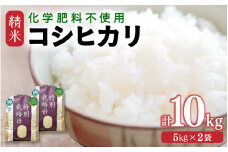 【令和6年産】 化学肥料不使用コシヒカリ 精米10kg（5kg×2袋） / 白米 米 福井県あわら市産 美味しい 特別栽培米 減農薬 安心な米 旨味 甘み もっちり エコファーマー こしひかり 冷蔵保管米 新米 [aw010-b001]