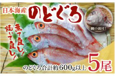 【真鯛の頭付き】煮てよし焼いてよし！ 日本海産のどぐろ 5パック ／  高級魚 ビール 煮魚 焼き魚 おつまみ 魚介類 海の幸 国産 個包装 お取り寄せ [aw002-b001]