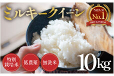 【先行予約】【令和7年産 新米】ミルキークイーン 10kg 無洗米 特別栽培米 低農薬 《食味値85点以上！こだわり無洗米》 / 福井県 あわら市 北陸 米 お米 人気 白米 精米 ※2025年9月上旬より順次発送 [aw032-b005]
