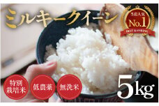 【先行予約】【令和7年産 新米】ミルキークイーン 5kg 無洗米 特別栽培米 低農薬 《食味値85点以上！こだわり無洗米》 / 福井県 あわら市 北陸 米 お米 人気 白米 精米 ※2025年9月上旬より順次発送 [aw032-a009]