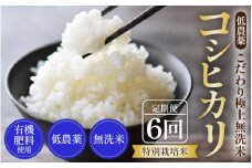 【先行予約】【令和7年産 新米】《定期便》5kg×6回 30kg 特別栽培米 コシヒカリ 無洗米 低農薬 《食味値85点以上！こだわり極上無洗米》 / 福井県 あわら 北陸 米 お米 人気 高品質 鮮度抜群 新米 ※2025年9月中旬より順次発送 [aw032-i001]