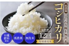 【先行予約】【令和7年産 新米】《定期便》5kg×12回 60kg 特別栽培米 コシヒカリ 無洗米 低農薬 《食味値85点以上！こだわり極上無洗米》 / 福井県 あわら 北陸 米 お米 人気 高品質 鮮度抜群 新米 ※2025年9月下旬より順次発送 [aw032-n001]
