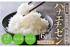 【令和6年産 新米】《定期便》5kg×6回 30kg 特別栽培米 ハナエチゼン 無洗米 低農薬 《食味値85点以上！こだわり極上無洗米》 / 福井県 あわら 北陸 米 お米 人気 [aw032-h002]
