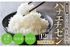 【令和6年産 新米】《定期便》5kg×12回 60kg 特別栽培米 ハナエチゼン 無洗米 低農薬 《食味値85点以上！こだわり極上無洗米》 / 福井県 あわら 北陸 米 お米 人気 [aw032-m002]