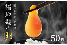 濃厚で甘くておいしい！ 福井ブランド「福地鶏」の卵 50個（25個入×2段） ／ 卵 たまご 鶏卵 生卵 有精卵 高級 高級卵 福地鶏 鶏 平飼い 美味しい こだわり 卵かけご飯 料理 あわら市 福井県産 [aw036-a002]