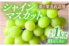 【先行予約】夢の果実直送便 シャインマスカットコース 1kg （1房～3房） / マスカット シャインマスカット 葡萄 ぶどう 果物 フルーツ 新鮮 数量限定 高級 福井県 あわら市産 ※2025年8月中旬より準備出来次第発送 [aw023-a001]