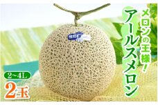 【先行予約】メロンの王様！アールスメロン 2玉入 2～4L 〈贈答用にも最適な最高級メロン〉／ 期間限定 果物 フルーツ 高級メロン マスクメロン 青肉 産地直送 ※2025年7月中旬より順次発送 [aw003-a001]