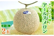 【先行予約】メロンの王様！アールスメロン 2玉入 2～3L 〈贈答用にも最適な最高級メロン〉／ 期間限定 果物 フルーツ 高級メロン マスクメロン 青肉 産地直送 ※2026年7月中旬より順次発送 [aw003-a011]