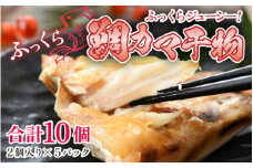 ふっくらジューシー！鯛カマ干物　2個入×5パック ／ ビール 焼き魚 お父さん おつまみ 朝食 魚介類 海の幸 個包装 お取り寄せ [aw002-a002]