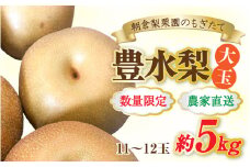 【先行予約】《数量限定》豊水梨【大玉】11～12玉入 約5kg もぎたて 新鮮 ※2025年9月上旬より順次発送予定 [aw042-a001]