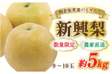 【先行予約】《数量限定》新興梨 9～10玉入 約5kg 歯ごたえ抜群！※2025年10月中旬より順次発送 [aw042-a002]