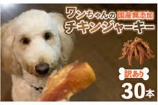 【訳あり】【国産 鶏肉】 ３0本入り ワンちゃんのチキンジャーキー / ドックフード 手作り やみつき くいつき 犬用 小型犬 中型犬 大型犬 ペットフード 味付けなし [aw044-a003]