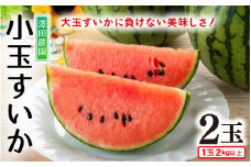 【先行予約】小玉すいか 愛娘(まなむすめ) 2kg以上 2玉入 ＜大玉のようなシャリ感！皮際まで抜群に甘い＞ / 期間限定 果物 フルーツ 産地直送 スイカ 小玉スイカ ※2026年6月上旬より順次発送 [aw039-a001]