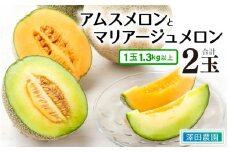【先行予約】アムス・マリアージュメロン 2種（1.3kg以上2玉入）農園1番のおすすめ！ / 期間限定 果物 フルーツ 産地直送 青肉 赤肉 人気 ※2026年7月上旬より順次発送 [aw039-a003]