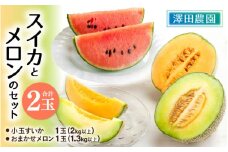 【先行予約】日を分けて2度楽しめる！小玉すいか・おすすめメロン 2種セット(2玉入)  / 期間限定 果物 フルーツ 産地直送 青肉 赤肉 スイカ 小玉スイカ 人気 ※2026年6月下旬より順次発送 [aw039-a004]