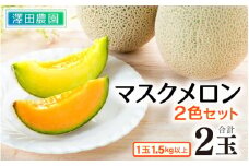 【先行予約】マスクメロン 青肉/赤肉 2色セット（1.5kg以上 2玉入）食べ比べお楽しみ！アールスメロン  / 期間限定 果物 フルーツ 産地直送 人気 食べ比べ ※2026年7月上旬より順次発送 [aw039-a006]