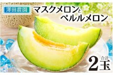 【先行予約】マスクメロン・ペルルメロン 2種セット(2玉入）大玉で食べ応え抜群！  / 期間限定 果物 フルーツ 産地直送 青肉 人気 甘い アールスメロン ※2026年7月上旬より順次発送 [aw039-a007]