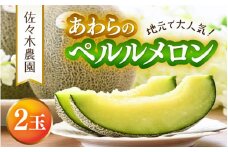 【先行予約】ペルルメロン 3L 2玉入（1.7kg以上×2玉）糖度16度以上！／ 1株1果 大玉 青肉 メロン 果物 フルーツ ギフト 農家直送 ※2026年6月下旬より順次発送 [aw045-a001]