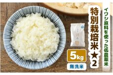 【先行予約】【令和7年産 新米】 特別栽培米 コシヒカリ 無洗米 5kg 低農薬 / 北陸 福井県産 あわら市 ブランド米 白米 お米 コメ 特栽米 ※2025年9月下旬以降順次発送 [aw056-a001]