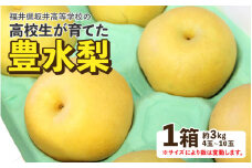 【先行予約】豊水梨 3kg 果肉は柔らかで多汁！《大人気返礼品！高校生 応援！》 / 果物 フルーツ 梨 なし 豊水 3キロ 人気 おすすめ 数量限定＜準備出来次第順次発送＞ [aw049-a002]