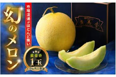【先行予約】市場流通がほとんどない幻のメロン 1玉（1.6kg以上） ／ 限定 高級メロン マスクメロン 果物 フルーツ 産地直送 ※2025年7月より順次発送 [aw007-a001]