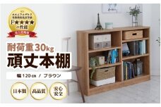 GH-L120JN 頑丈本棚 幅120cm ブラウン（ロータイプ）たっぷり安心して収納！日本製 [aw053-g002]