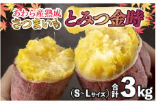 【先行予約】さつまいも とみつ金時 3kg（S～Lサイズ）あわら産 熟成 ／ 焼き芋 スイートポテト 農家直送 期間限定 野菜 常備【2025年9月上旬以降順次発送予定】 [aw041-a002]