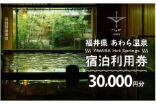 あわら温泉 宿泊利用券 30,000円分 ／ 宿泊券 旅館 チケット 観光 旅行 源泉 大浴場 露天風呂 福井県 あわら市 カニ 蟹 観光地 旅行券 国内旅行 旅行券 宿泊券 ゴルフ 国内 [aw013-j003]