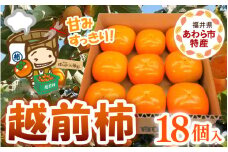 【先行予約】厳選！種なし！スッキリ甘みの越前柿 18個入 ／ 果物 フルーツ かき 種なし  産地直送 期間限定 ※2025年10月下旬以降順次発送 [aw031-a003]