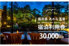 あわら温泉 宿泊利用券 30,000円分 ／ 宿泊券 旅館 チケット 観光 旅行 源泉 大浴場 露天風呂 福井県 あわら市 カニ 蟹 観光地 旅行券 国内旅行 旅行券 宿泊券 ゴルフ 国内 [aw013-j005]