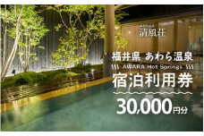 あわら温泉 宿泊利用券 30,000円分 ／ 宿泊券 旅館 チケット 観光 旅行 源泉 大浴場 露天風呂 福井県 あわら市 カニ 蟹 観光地 旅行券 国内旅行 旅行券 宿泊券 ゴルフ 国内 [aw013-j011]