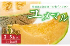 【先行予約】マルセイユメロン 3～5玉入「ユメマル」5kg 《とろけるような食感の絶品 赤肉メロン》／ 果物 フルーツ 産地直送 大賞 受賞 ※2026年6月中旬より順次発送 [aw012-a025]