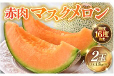 【先行予約】赤肉パリスメロン 秀品 2玉（1.5kg以上×2玉）【アールス系赤肉メロン】《糖度16度程度！1株1果採りで育てる高級メロン！》／ 果物 フルーツ 農家直送 赤肉 マスクメロン アールスメロン ギフト 贈答用 ※2026年7月上旬より順次発送予定 [aw028-a003]